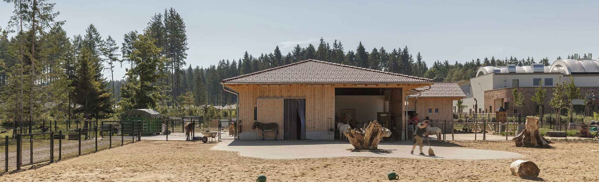 Ein Holzgebäude auf einem weitläufigen Hof mit Tieren, umgeben von einem hohen Wald. Im Vordergrund sind ein Pony und verschiedene landwirtschaftliche Geräte zu sehen.
