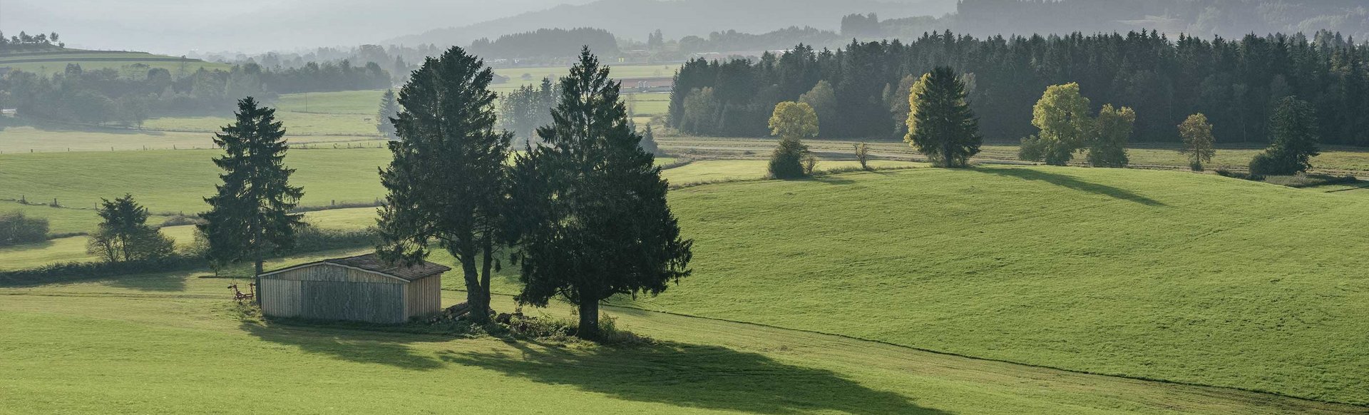 Eine weite, grüne Landschaft mit vereinzelten Bäumen und einem kleinen Schuppen, umgeben von sanften Hügeln und einem Wald im Hintergrund.